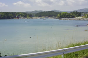 Minami Sanriku View